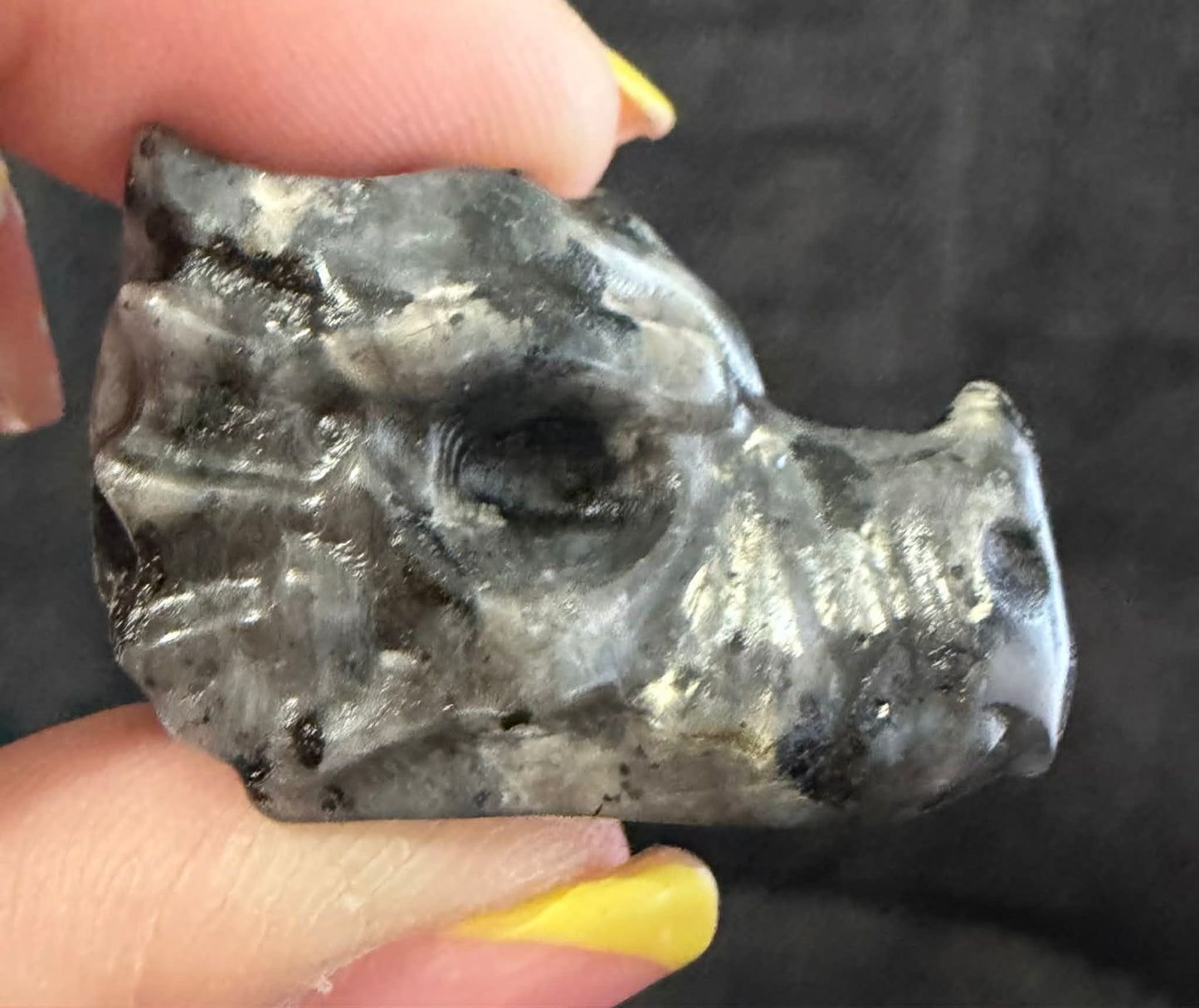 Mini Dragon Heads