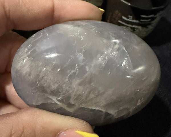 Moonstone Palm