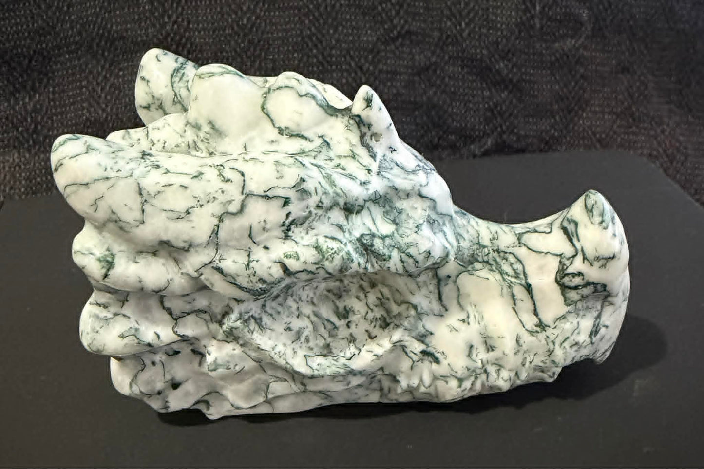 Dragon Head Medium
