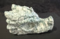 Dragon Head Medium