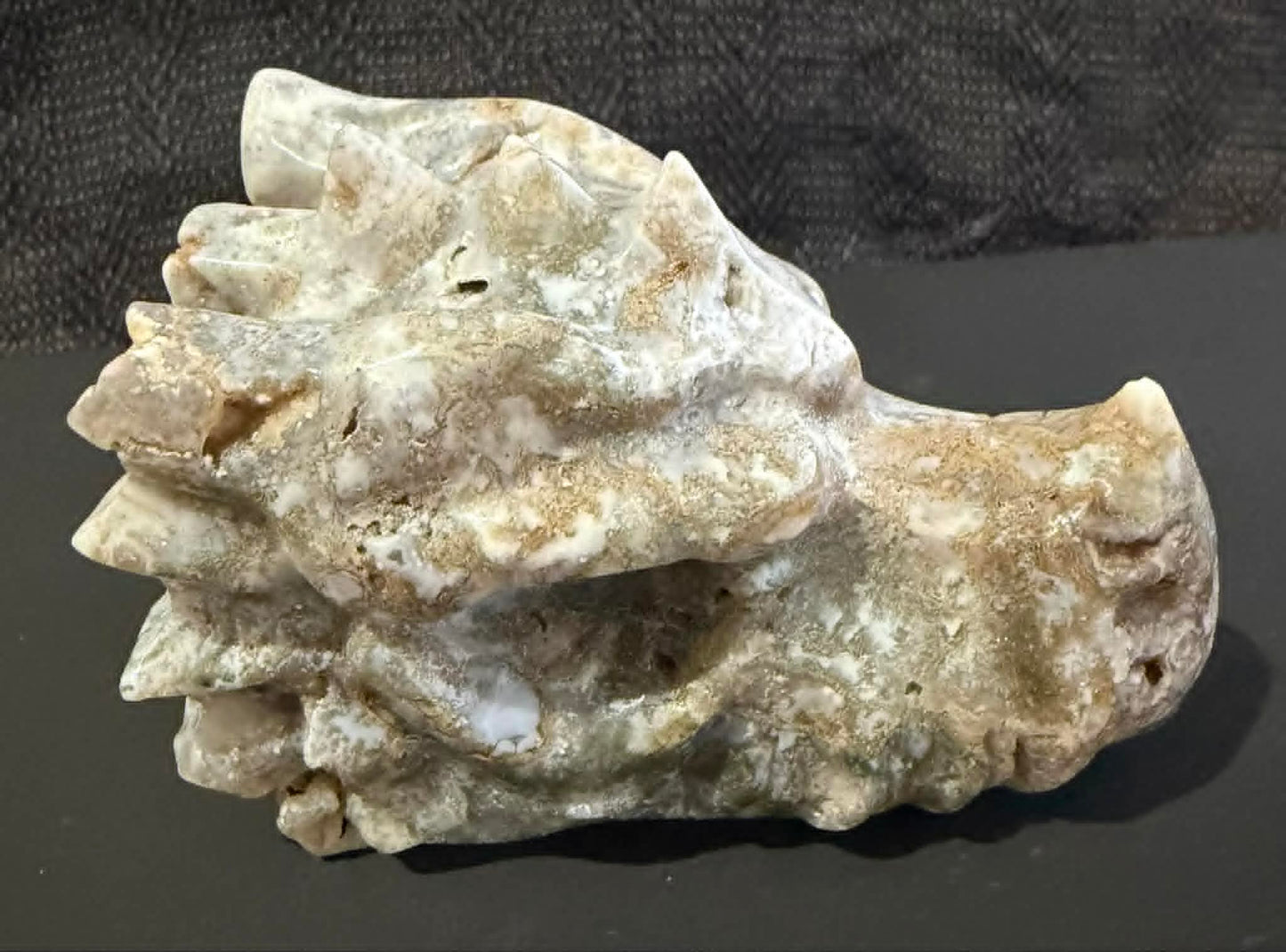 Dragon Head Medium