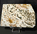 Natural Round Eye 8th Vein Ocean Jasper Slab