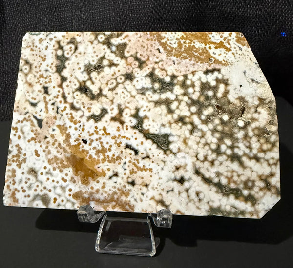 Natural Round Eye 8th Vein Ocean Jasper Slab