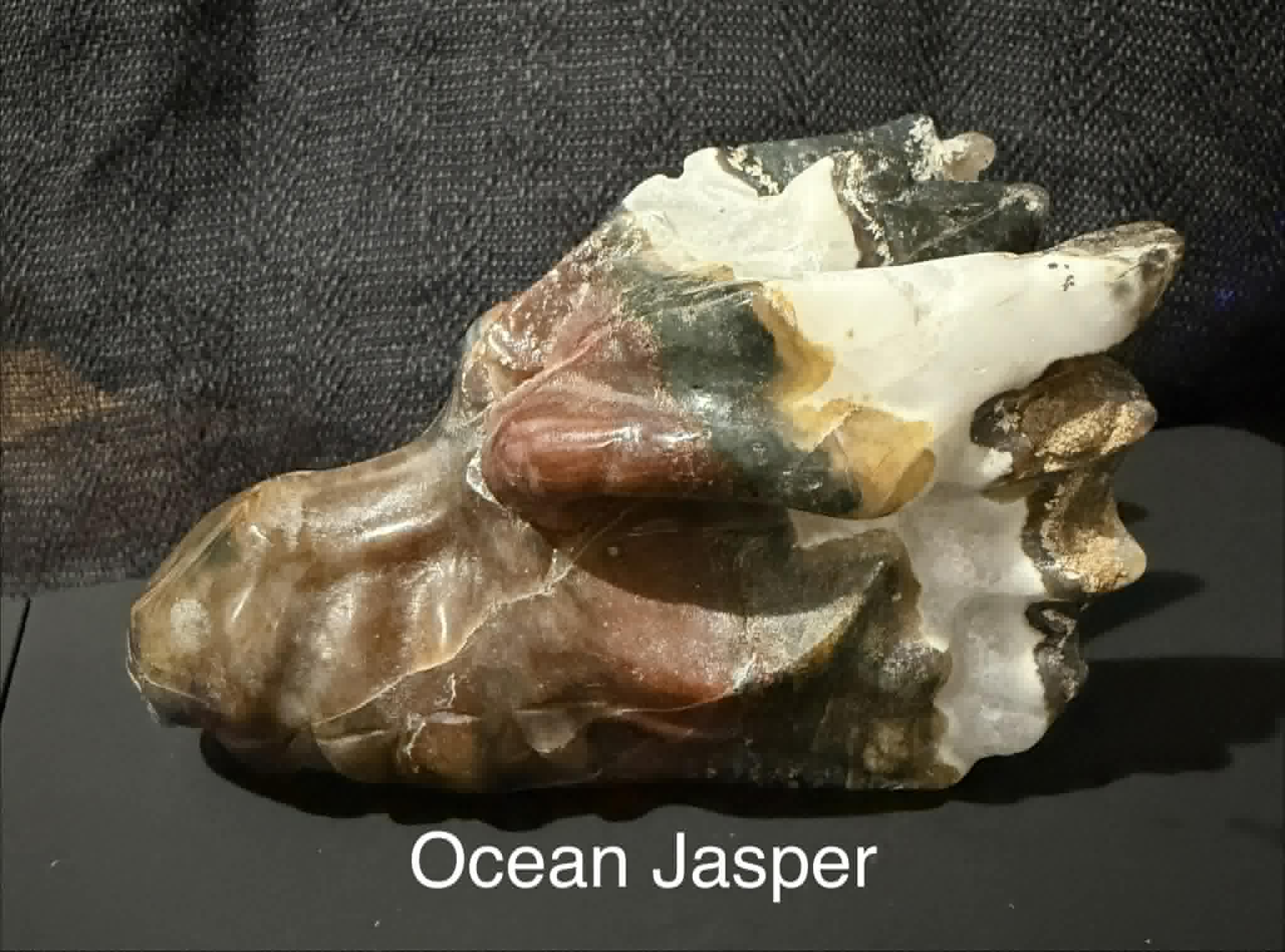 Dragon Head Medium