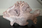 Pink Amethyst Fish