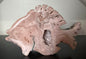 Pink Amethyst Fish
