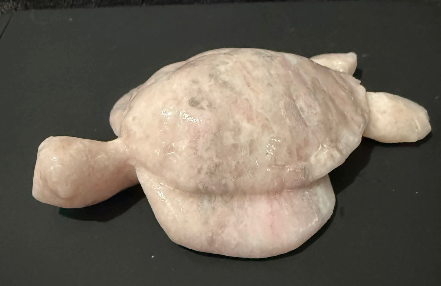 Crystal Turtles