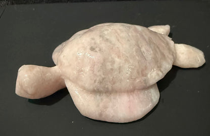 Crystal Turtles
