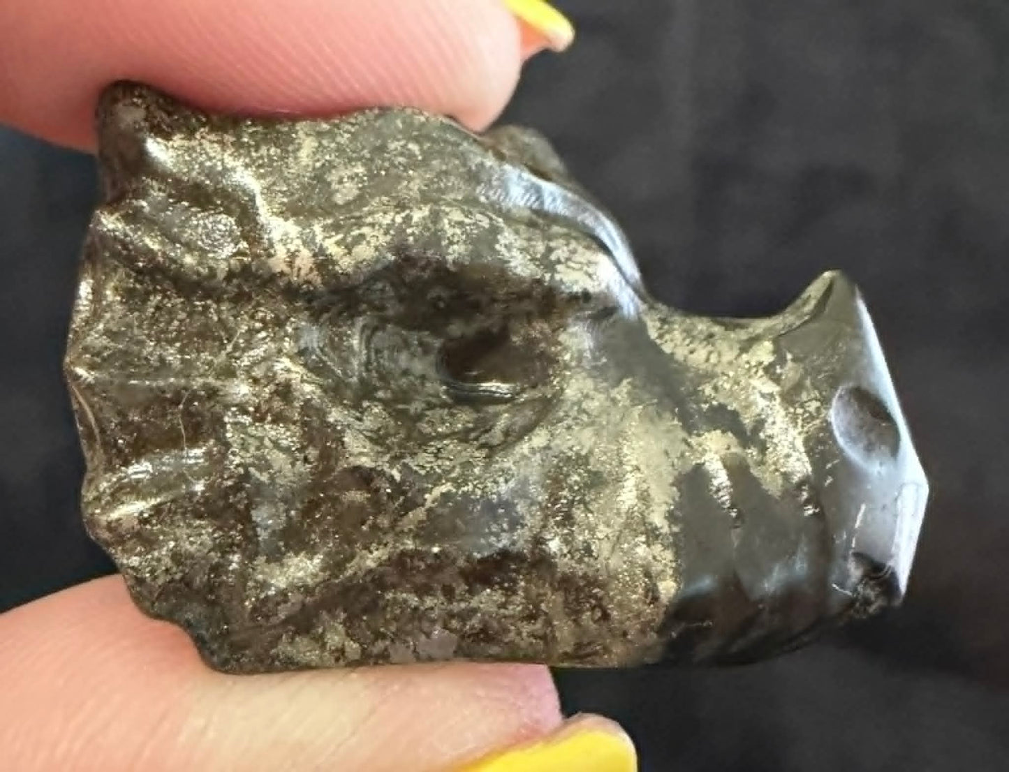 Mini Dragon Heads