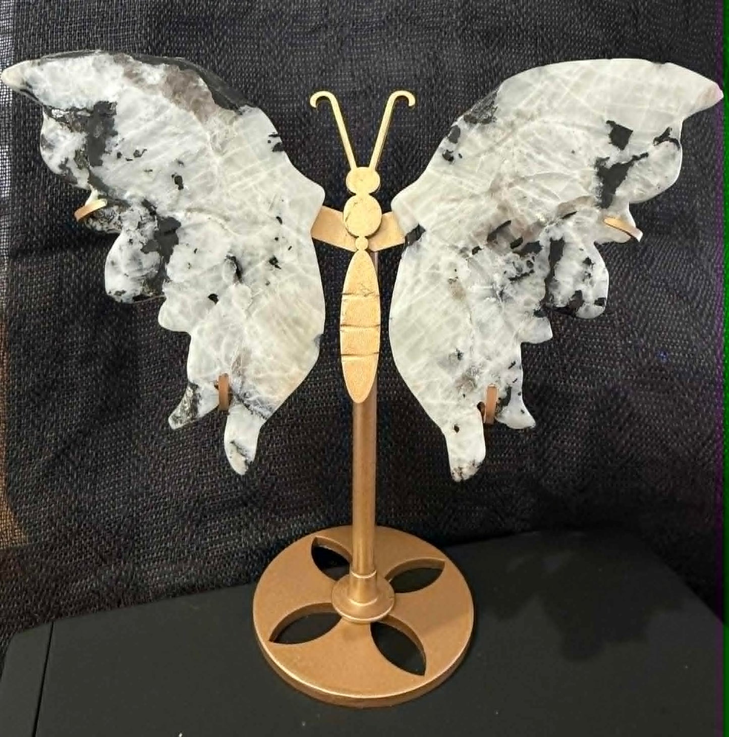 Crystal Butterfly Wings on Stand