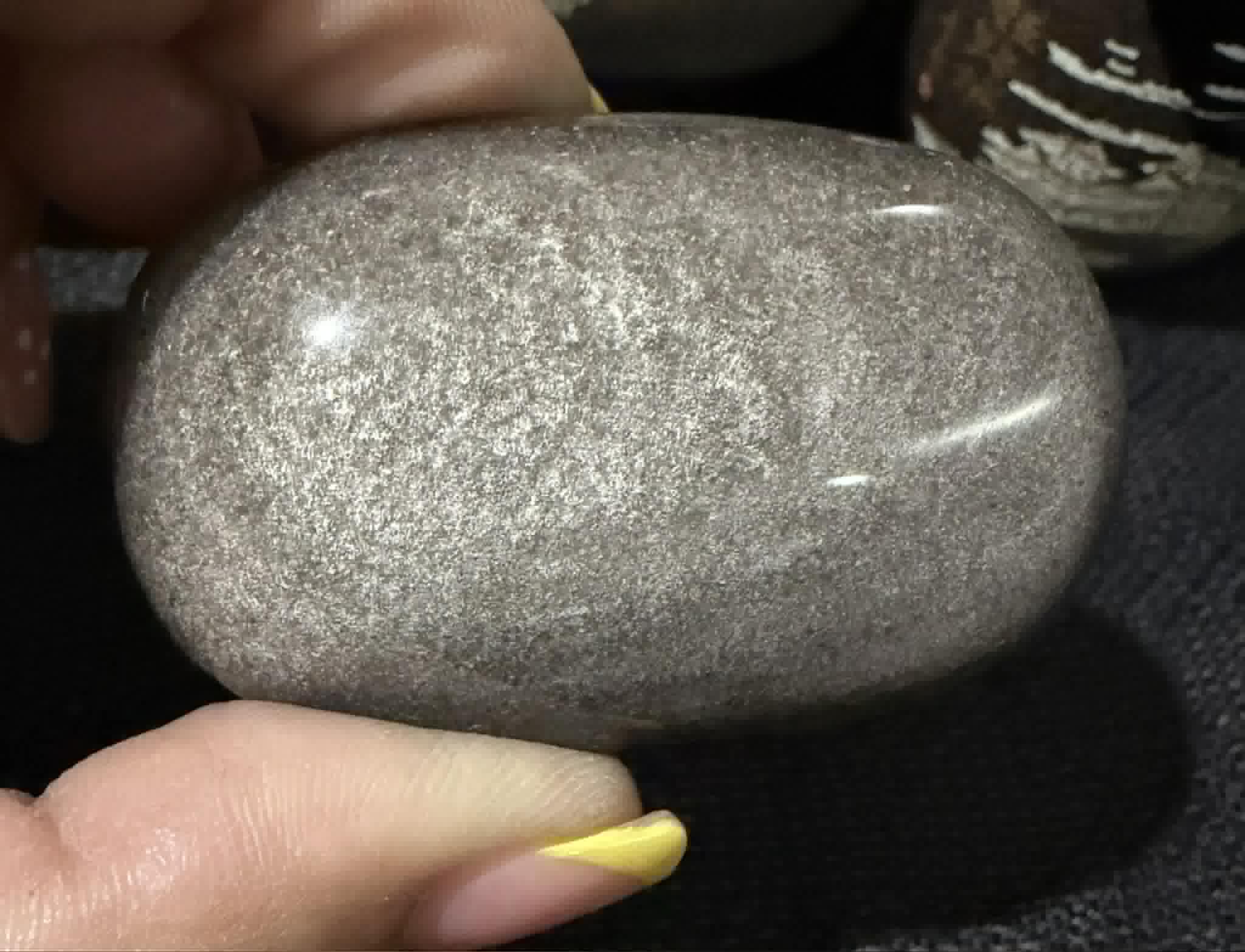 Silver Obsidian Palm