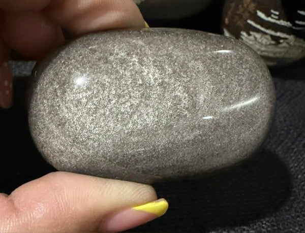 Silver Obsidian Palm