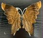 Crystal Butterfly Figurine