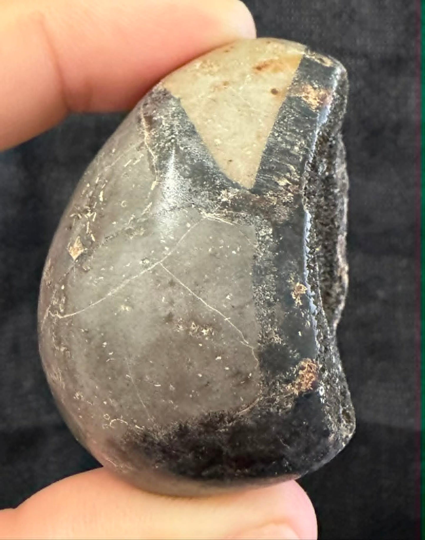 Septarian Egg with Druzy Carving
