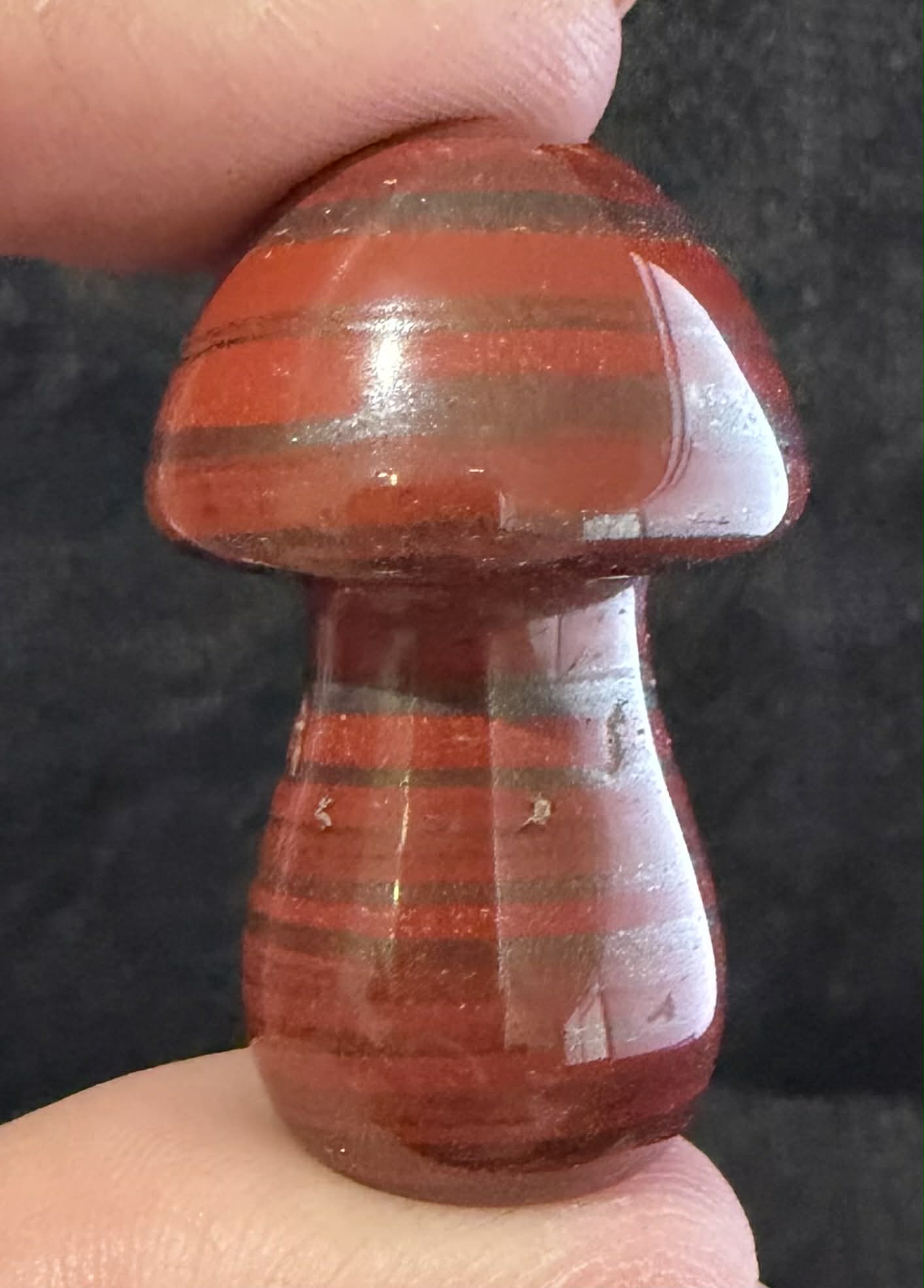 Medium Mushrooms
