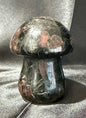 Garnet and Firework Stone Mushroom