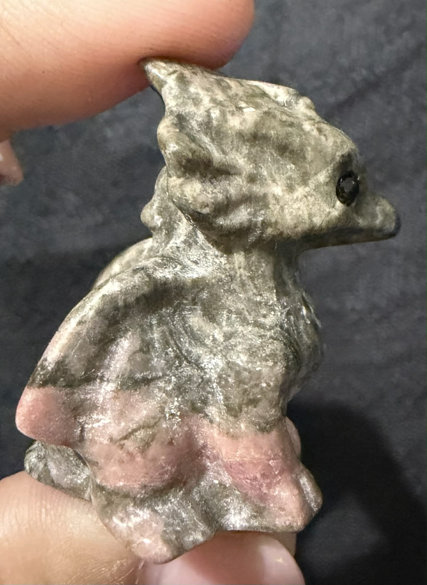 Mini Baby Dragons