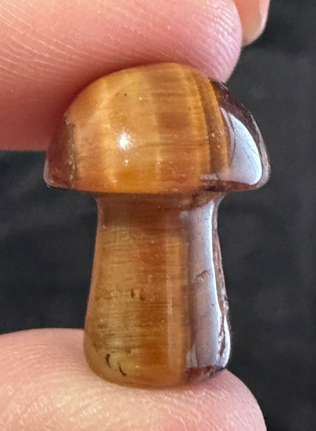 Mini Mushies