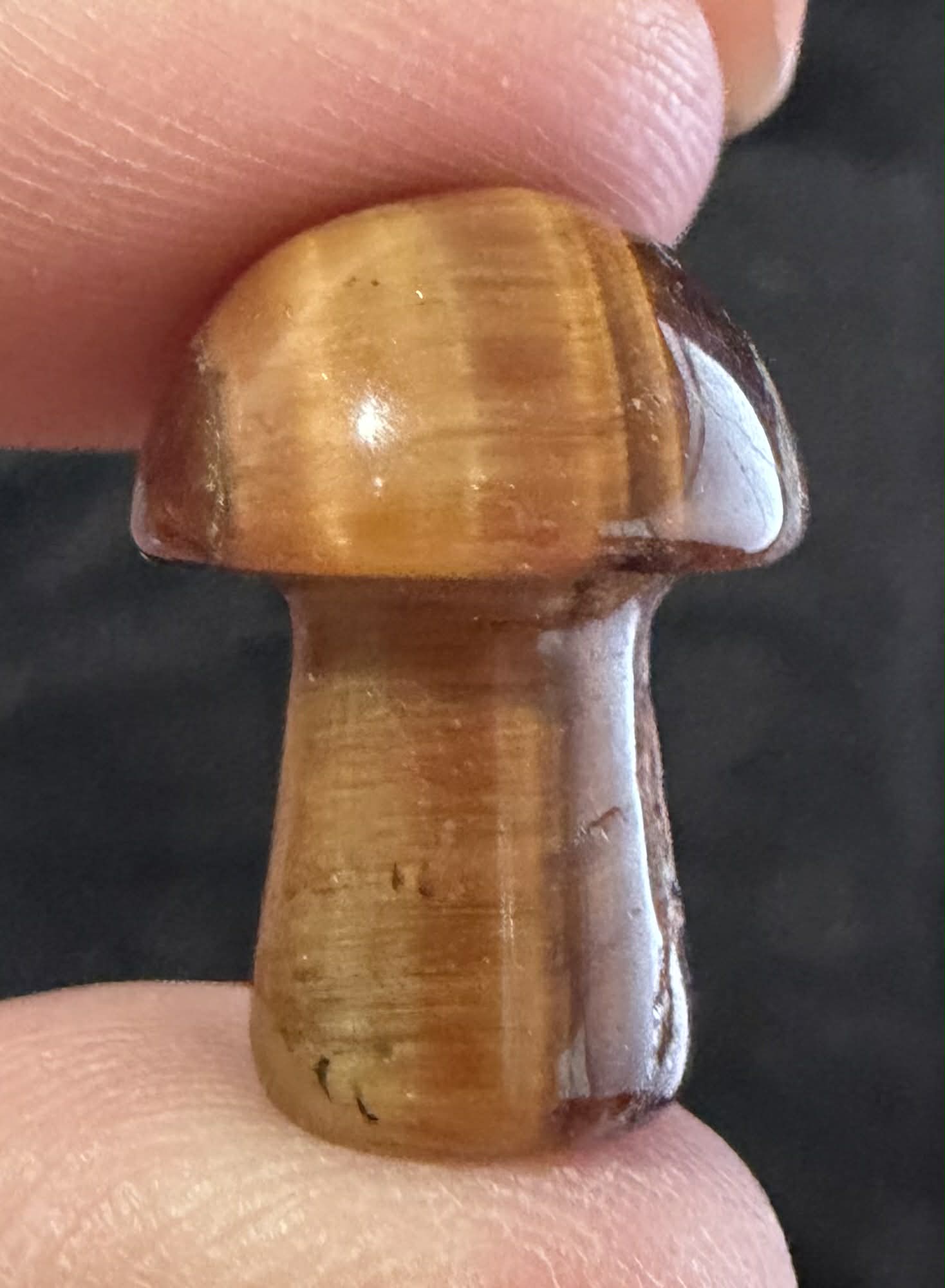 Mini Mushies